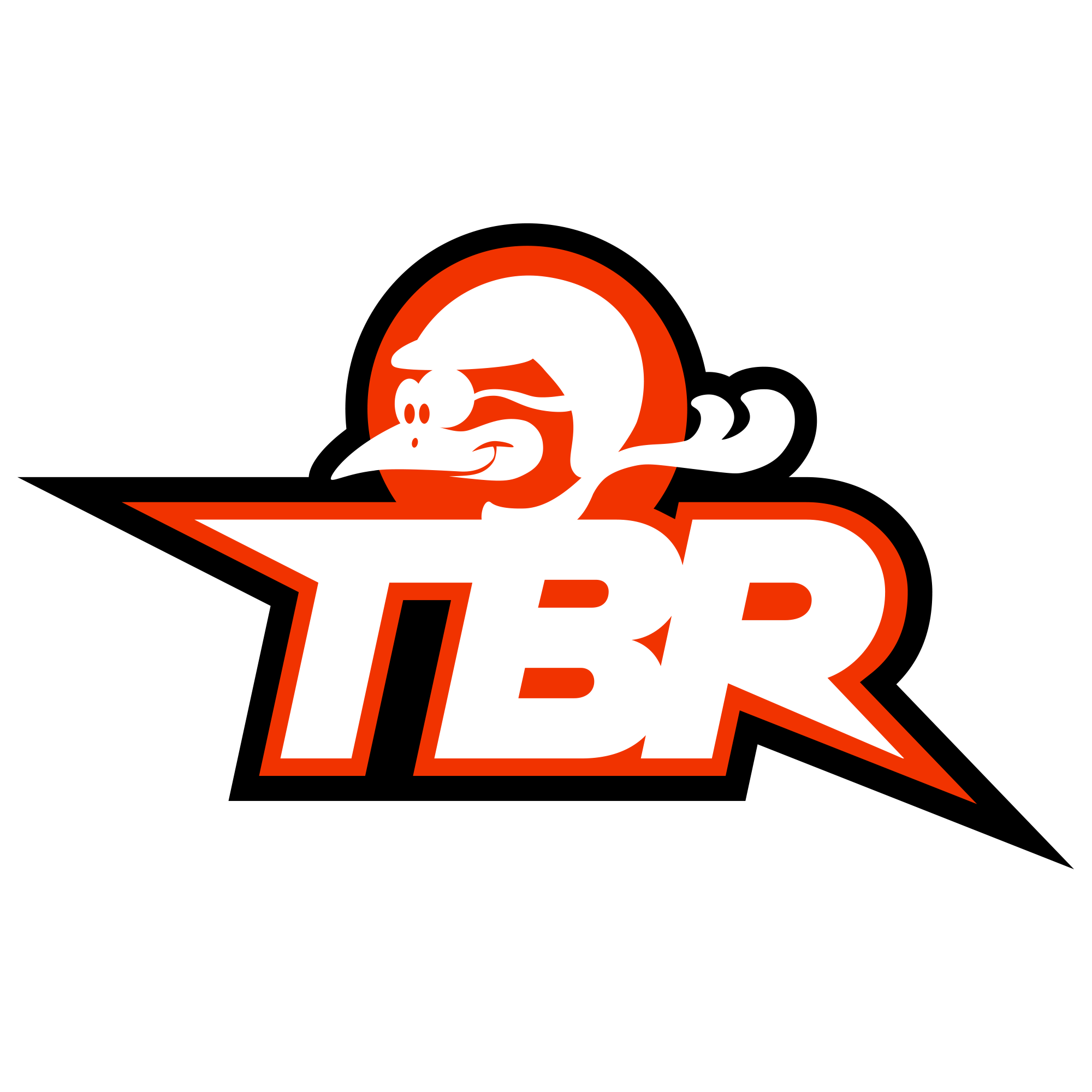 TBR logo 2016 on color 1